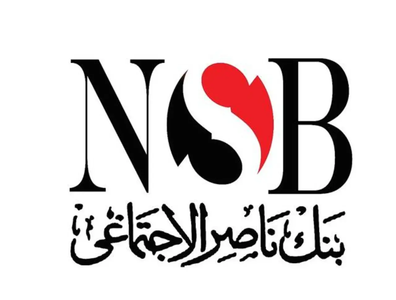 شروط الحصول على قرض بنك ناصر لذوي الإعاقة والمستندات المطلوبة