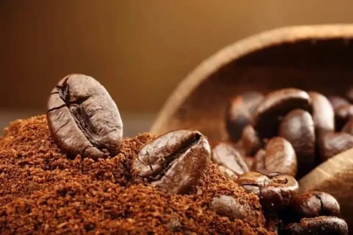 تفاصيل دراسة جدوي مشروع محمصة مطحون القهوة