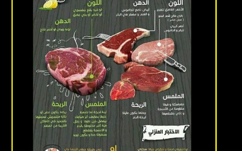 أنواع قطعيات اللحوم واستخداماتها وكيفية معرفة اللحم الصالح من الفاسد