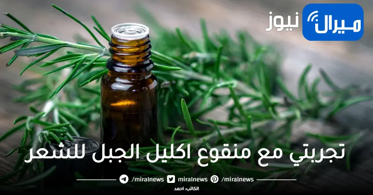 تجربتي مع منقوع اكليل الجبل للشعر