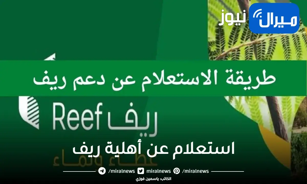 موعد إعلان نتائج الأهلية لبرنامج ريف رابط التسجيل للحصول على الدعم “reef.gov.sa”