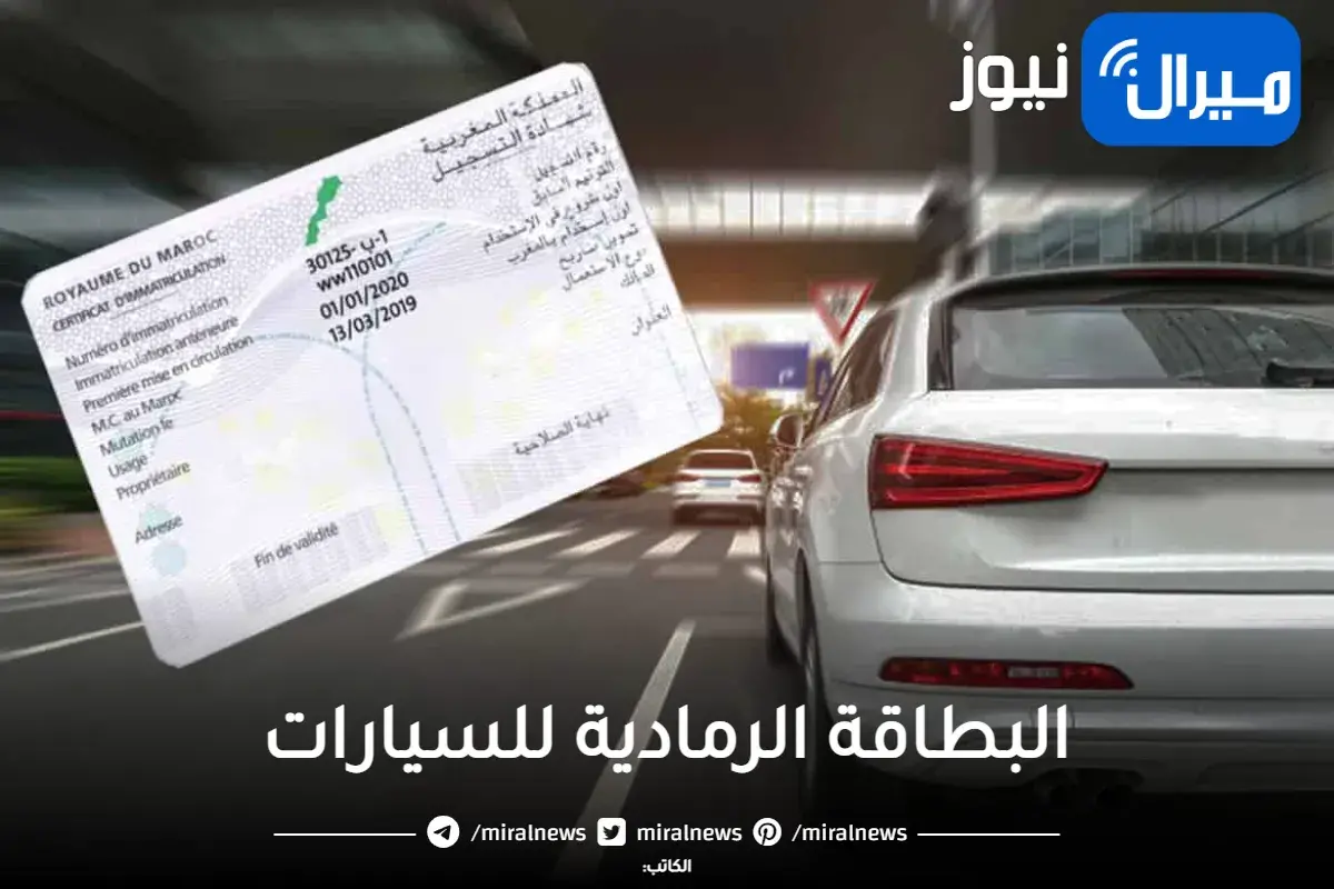 البطاقة الرمادية للسيارات ماهى والمستندات المطلوبة من أجل تجديدها