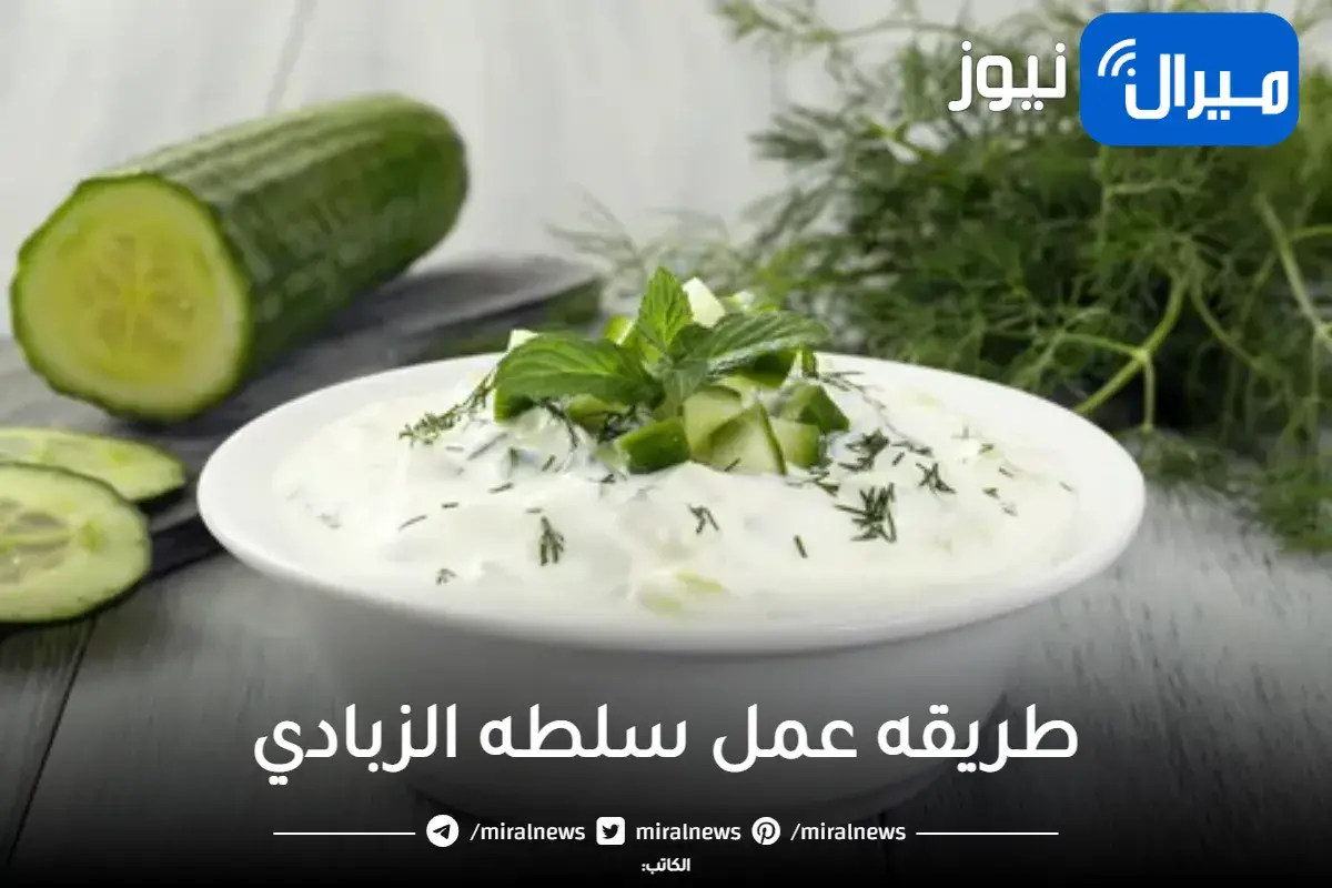 أسهل وصفة  عمل سلطة الزبادي زي المطاعم