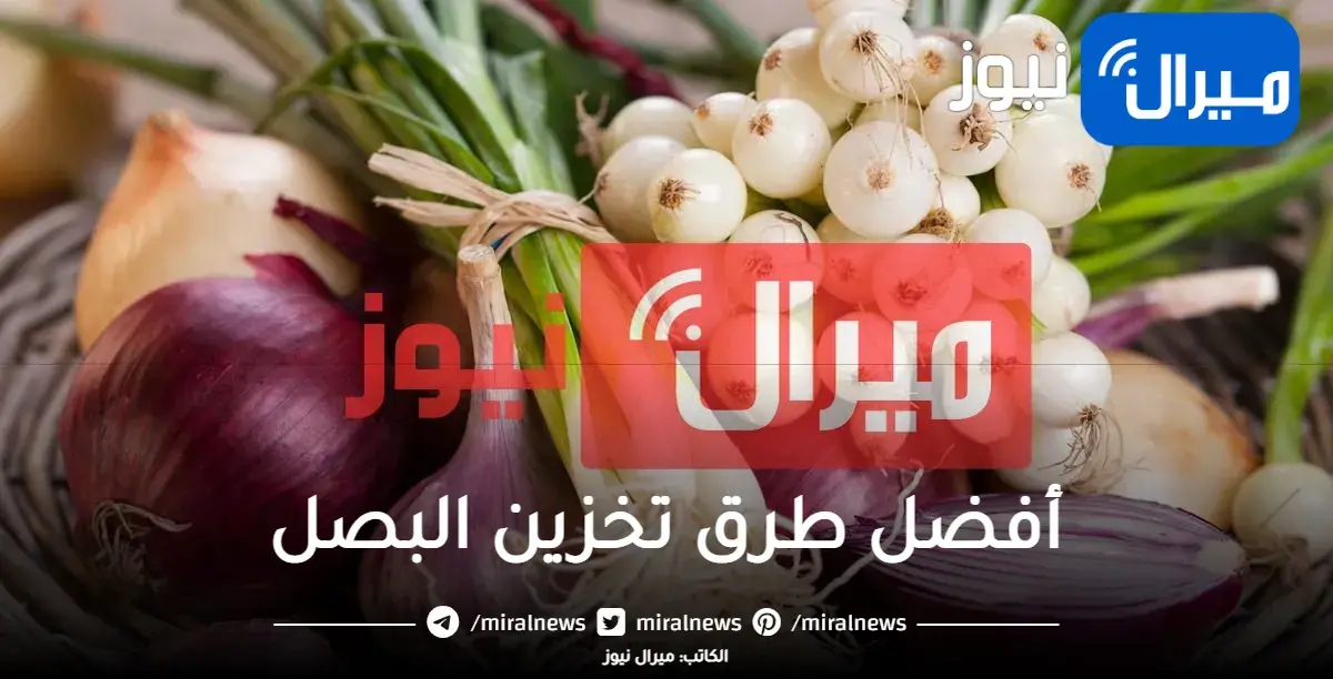 هيقعد سنين بدون تلف … أفضل طريقة لتخزين البصل لفترات طويلة