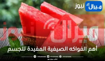 4 فواكه تحميك من حر الصيف والجفاف.. أبرزها البطيخ