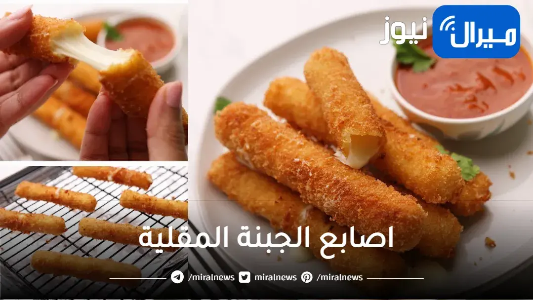 خطوات بسيطة وسهلة لعمل اصابع الجبنة المقلية للحصول عليها بمذاق شهي ولذيذ