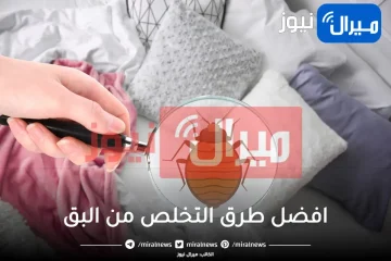 ابعديهم عن بيتك.. التخلص من البق في الفراش وحشرات الصيف للابد بطريقه مجربه