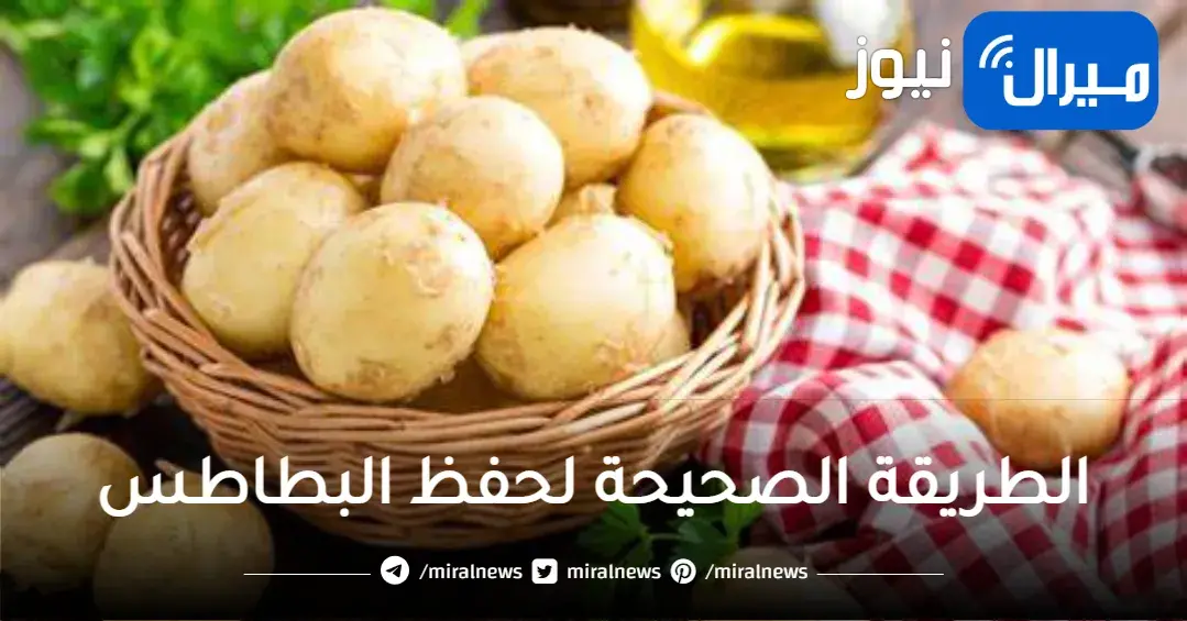 طريقة التخزين الصحيحة .. احرص على تخزين البطاطس بهذه الطريقة