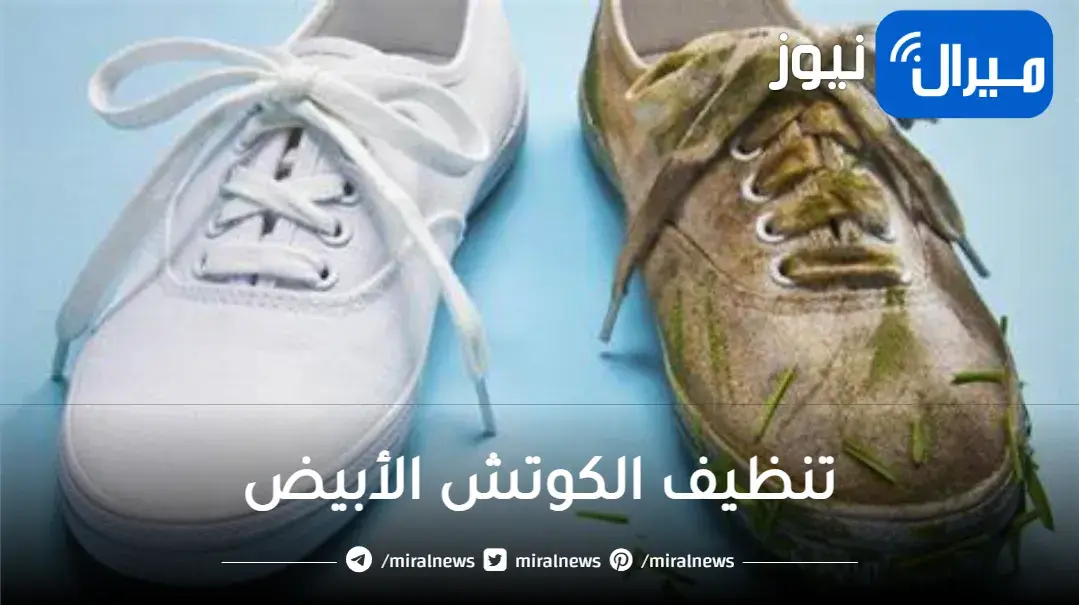 خلى الكوتش ينور.. أفضل طرق لتنظيف الكوتش الابيض الجلد والقماش خلال دقائق
