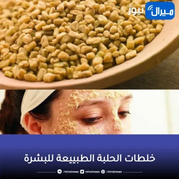 جربي خلطات الحلبة الطبييعة للبشرة الدهنية للتمتع بوجه نقي وصافي من الحبوب والمشاكل