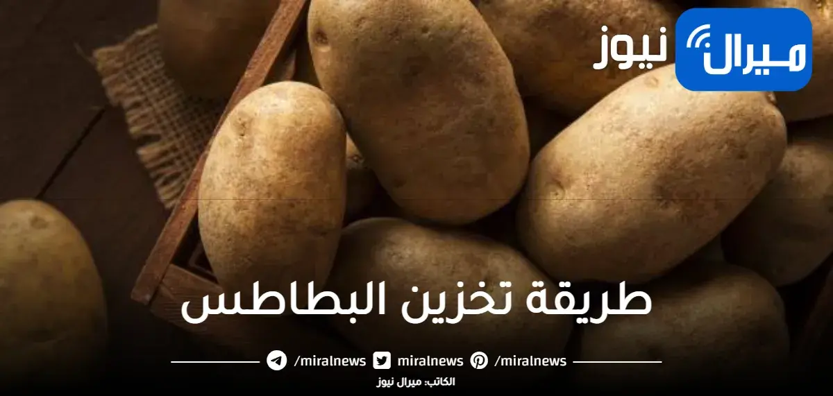 3 طرق عبقرية لتخزين البطاطس لتدوم أطول وقت ممكن من غير مايتغير لونها أو طعمها