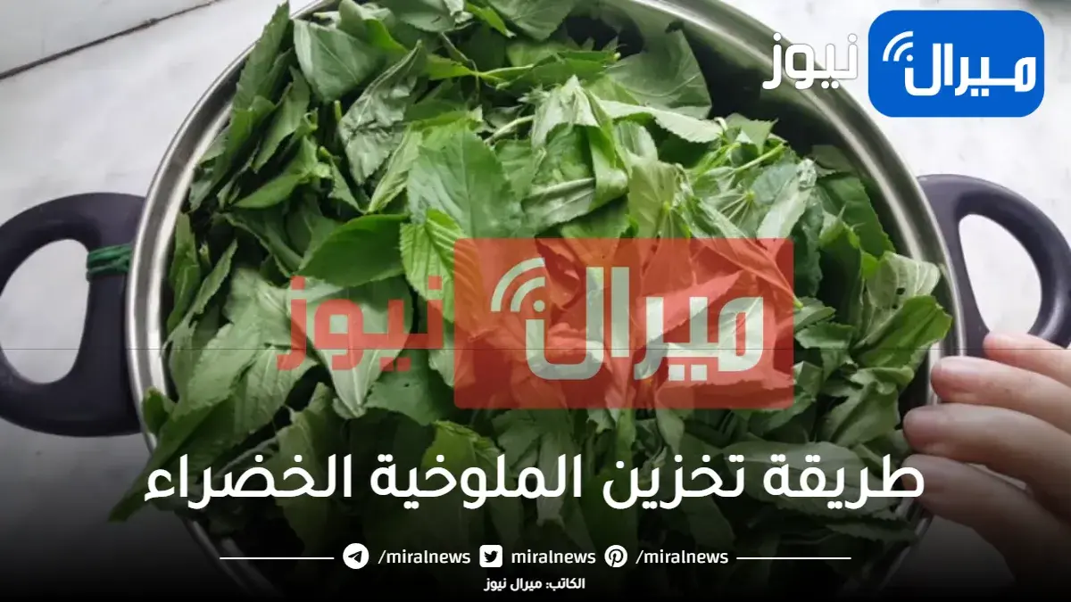 4 طرق مختلفة لتخزين الملوخية الخضراء بالفريزر وهتعيش معاكى من السنة للسنة بدون مايتغير لونها