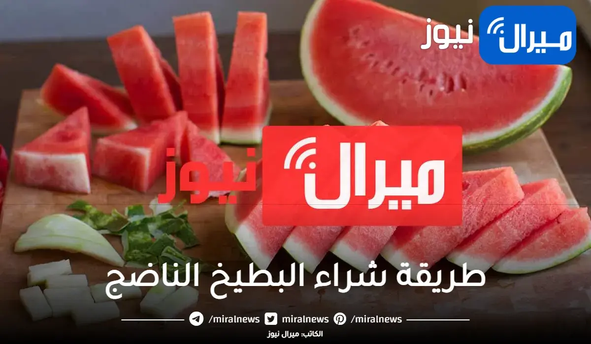 اعرفي ازاي تختاري بطيخة سليمة وحمراء ومرملة