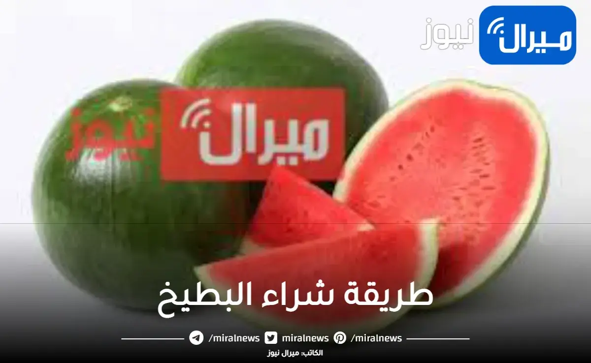 اعرف ازاي تشتري بطيخة سليمة وحمراء وطعم عسل نحل