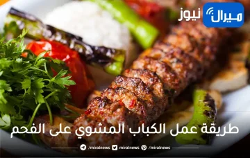 طريقة عمل الكباب المشوي على الفحم بالخلطة السرية اللذيذة مثل المطاعم