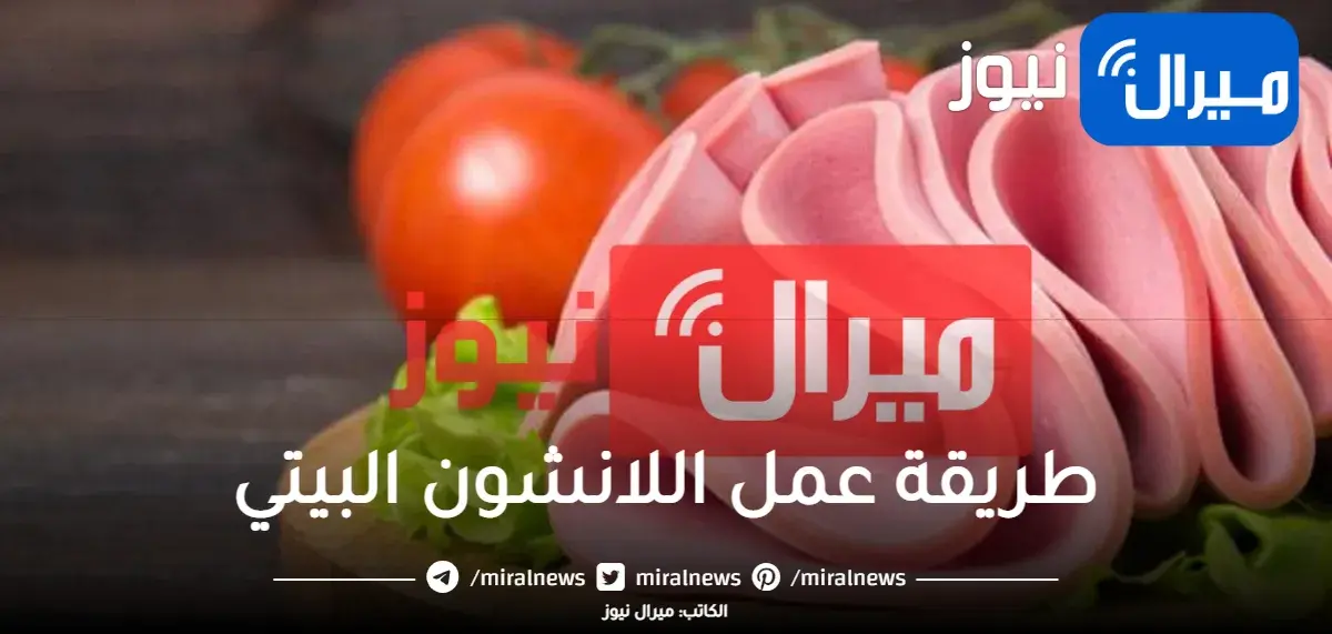أعرفي أسهل طريقة عمل اللانشون في البيت