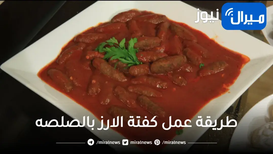 طريقة عمل كفتة الارز بالصلصه بتكاتها وحركاتها بأبسط مكونات سهله وبسيطه لربة المنزل