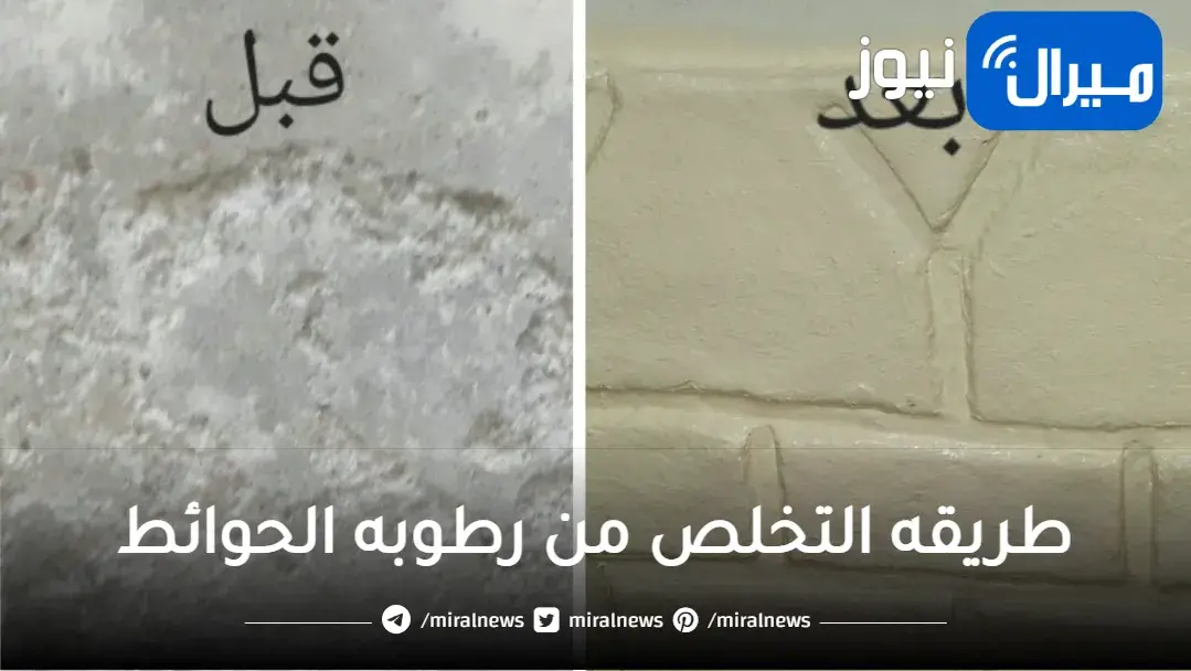 الحل السحري والفعال!!..التخلص من رطوبة الحوائط والعفن بشكل نهائي بمكونات بسيطة ونتيجة مذهلة