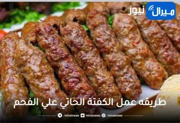 طريقه عمل الكفتة الحاتي بالفحم في المنزل مثل المطاعم وسر التتبيلة الرهيبة