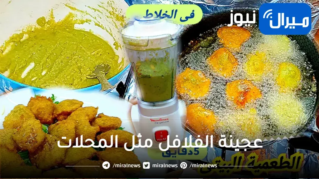 سر نجاح عجينة الفلافل مثل المحلات .. طريقة عمل الطعمية في الخلاط