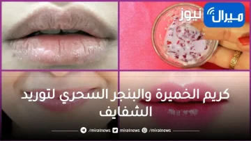 مفعول كريم الخميرة والبنجر السحري لتوريد الشفايف والخدود في دقائق معدودة سيغنيكي عن المكياج