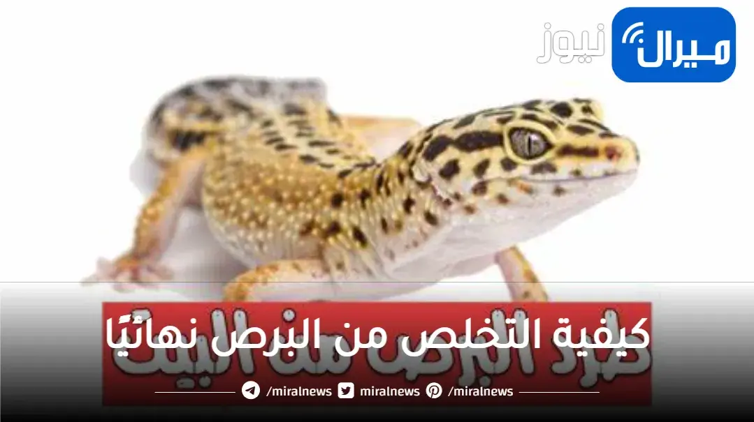 اوعي تخافي.. كيفية التخلص من البرص نهائيًا بدون عودة واطمئني تماماً
