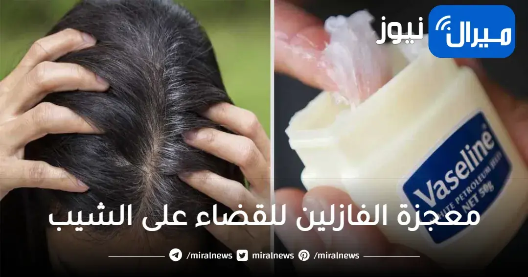 “من غير صبغات أو حناء” خلطات الفازلين للقضاء على شيب الشعر نهائيا دون عودتة