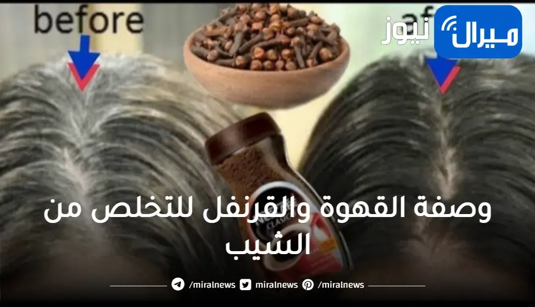 انسي الشعر الأبيض .. وصفة القهوة والقرنفل للتخلص من الشيب بدون مواد ضارة وكوافير