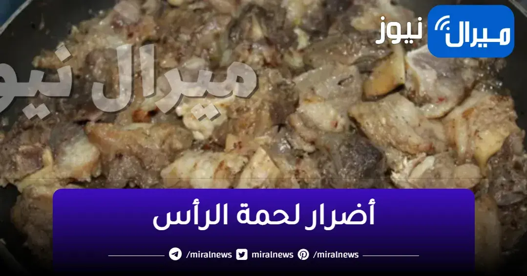 تحذير عاجل من تناول لحمة الرأس بـ”المسمط” و آراء الأطباء عن خطها علي صحة الإنسان