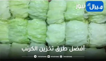 بأسرار التجار … معلقة واحدة لتخزين الكرنب من السنة للسنة بدون ما يجلد منك هيفضل فريش
