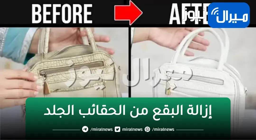 طرق تنظيف الشنط الجلد من البقع الصعبة