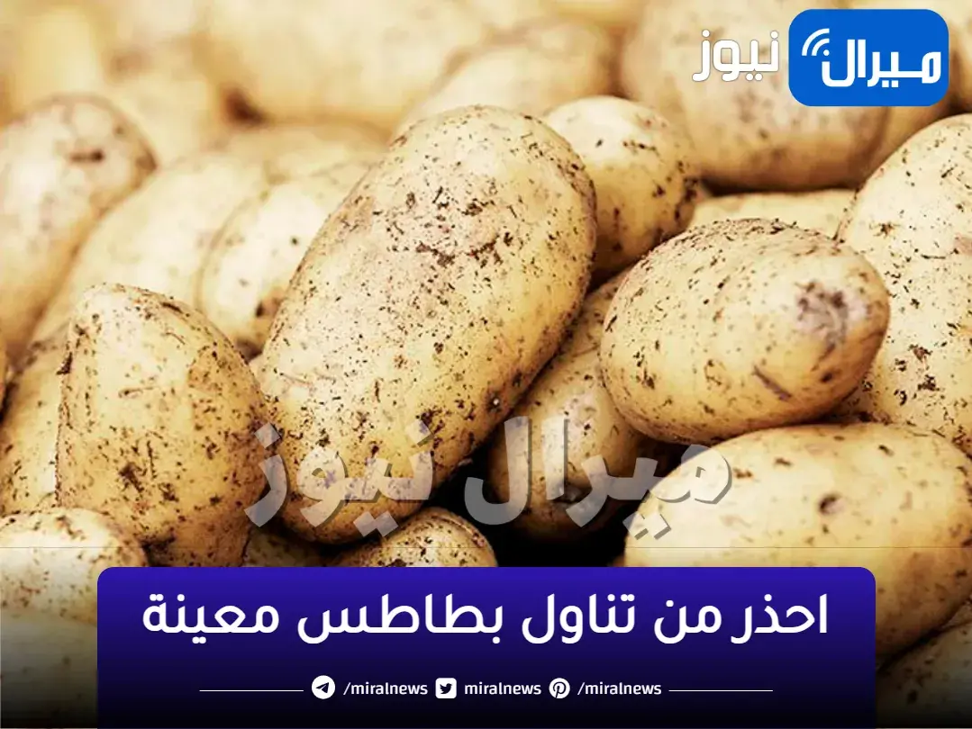 احذروا من تناول البطاطس في هذه الحالة … أخطاء مدمرة تفعلها التجار تسبب أمراض خطيرة للجسم