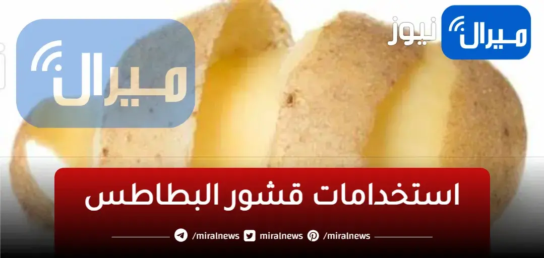 ندمت إني كنت برميه.. قشر البطاطس كنز أغلى من الدهب اتحداكي تعرفي السر ده