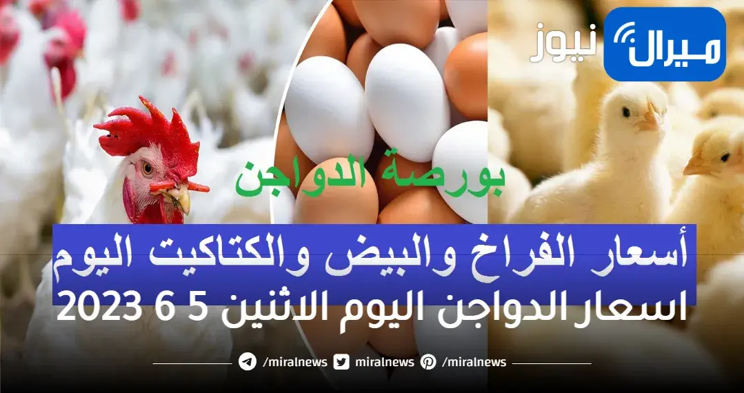 اسعار الدواجن اليوم الاثنين 5 6 2023 بورصة الدواجن الرئيسية اليوم