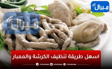 هتبقى ناصعة البياض.. تنظيف الكرشة والممبار وازالة السواد والزفارة بمكون واحد رخيص وجبار ميخطرش على بال حد
