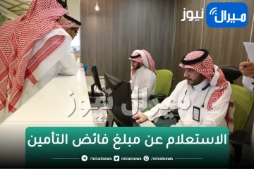 الاستعلام عن مبلغ فائض التأمين