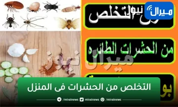 “وصفة جهنمية”!.. هتخلصك من “الصراصير والنمل والناموس وحشرة البق” إلى الأبد