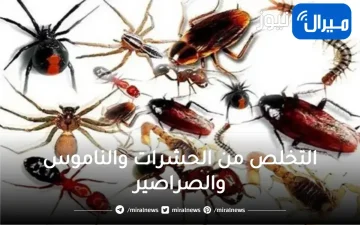 التخلص من الحشرات والناموس والصراصير بأقوى طريقة آمنة دون مبيدات حشرية أو مواد كيميائية