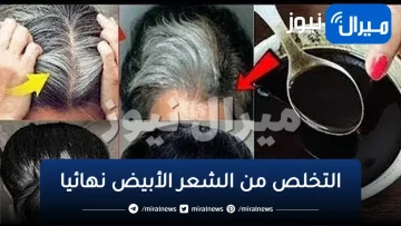 هيفضل اسود طول عمره.. الخلطة السحريه للقضاء علي الشعر الابيض نهائيًا