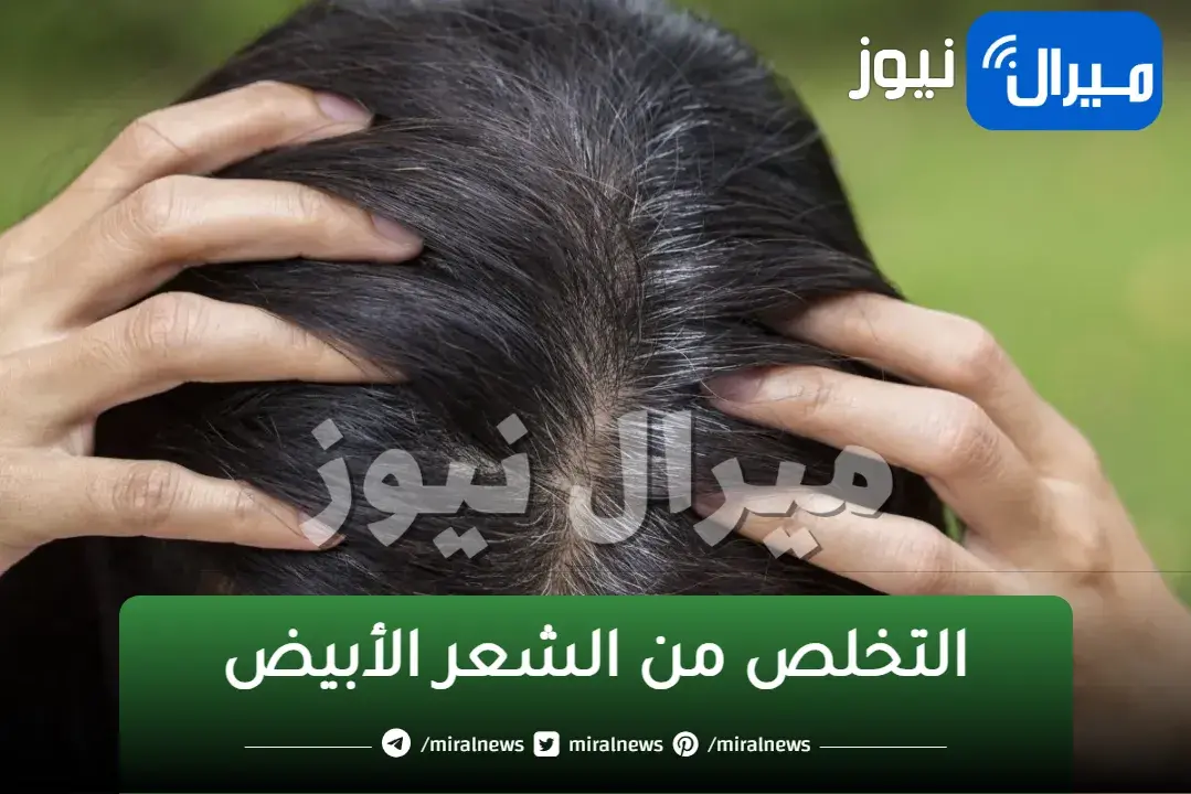 وداعا للشعر الأبيض تخلص من الشيب نهائيا بالقضاء عليه وصفات طبيعية