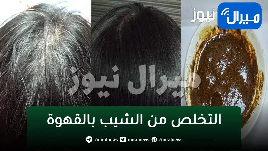 التخلص من الشيب بالقهوة وإرجاع لون الشعر الأصلي دون عودة مُجددًا من أول استخدام