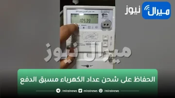 فكرة عبقرية.. الحفاظ على شحن عداد الكهرباء مسبق الدفع