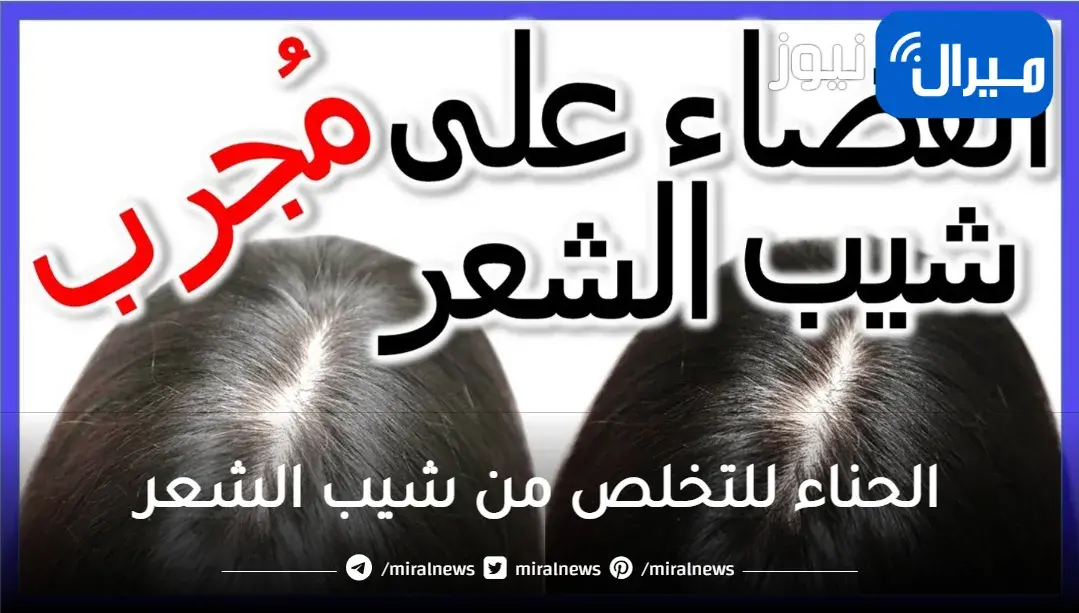 اسرع طريقة لعلاج شيب الشعر بملعقة حنة واحدة تخلصي من الشيب في ثواني حتي لو شعرك كله أبيض