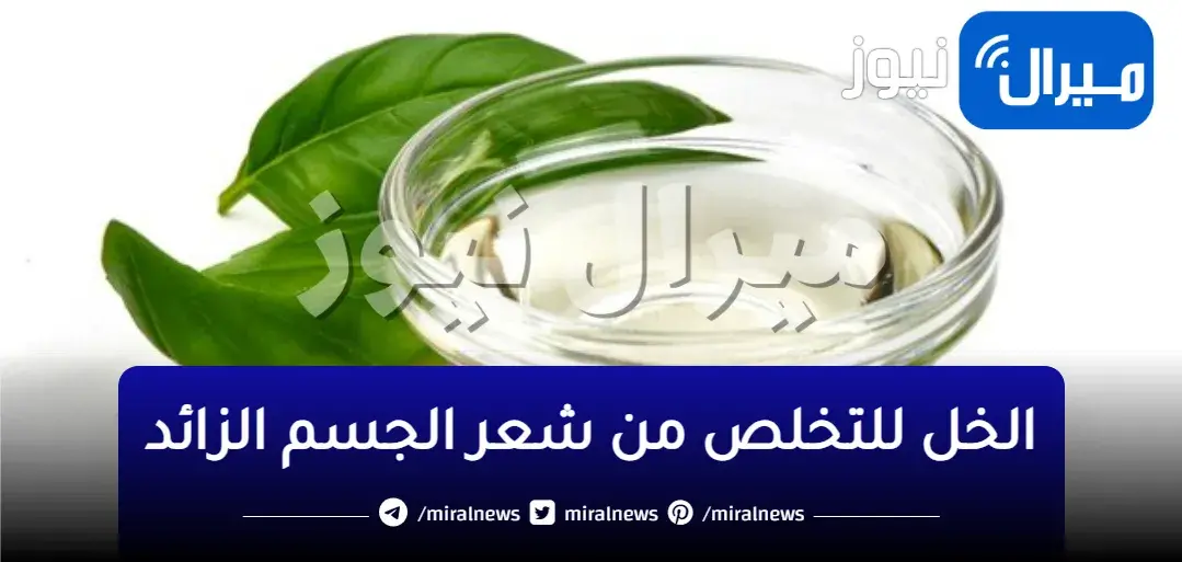 بمعلقه خل واحده تخلصي من الشعر الزائد في الجسم والاماكن الحساسة بدون اى الم نهائيا في دقائق