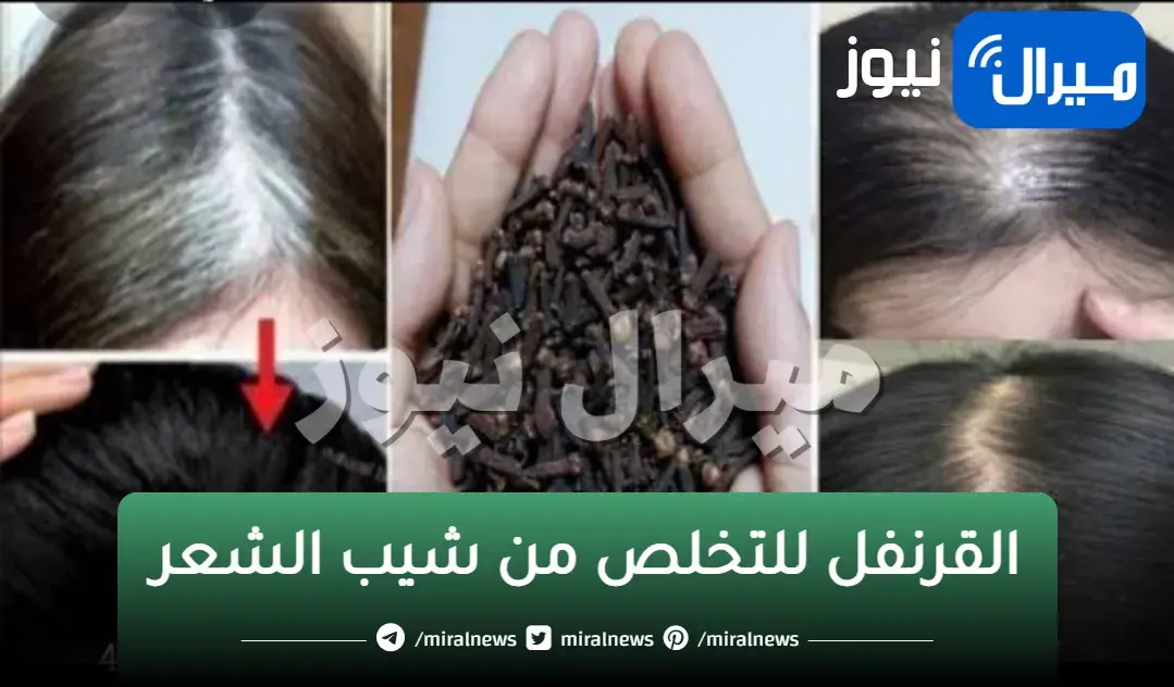 معجزة من ملعقة القرنفل للتخلص من شيب الشعر المبكر نهائياً بدون ضرر أستعيدي شبابك