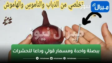 ببصلة واحدة ومسمار قولي وداعا للحشرات والصراصير والناموس والنمل نهائيا مش هيرجع تانى في بيتك