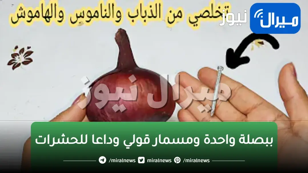 ببصلة واحدة ومسمار قولي وداعا للحشرات والصراصير والناموس والنمل نهائيا مش هيرجع تانى في بيتك