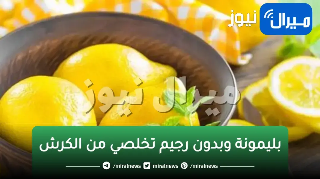 في 3 ايام.. بليمونة وبدون رجيم تخلصي من الكرش نخفي البطن بخلطة تخسيس البطن