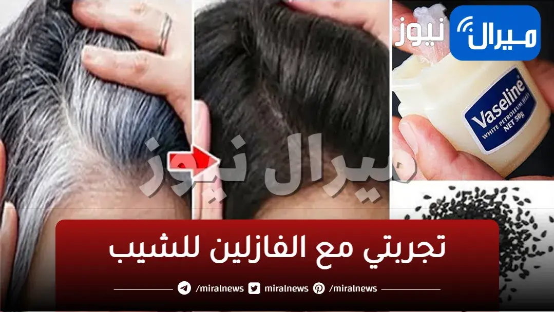 التخلص من الشيب بالفازلين والتمتع بشعر لامع طويل دون مشاكل بلا أي مواد كيميائية
