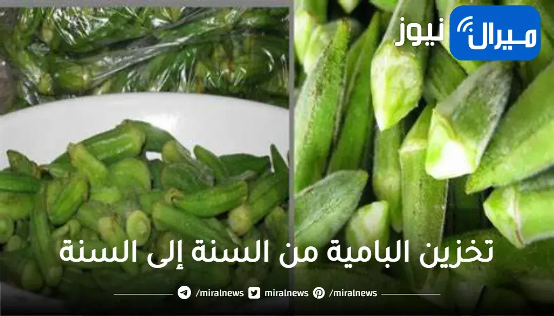 طريقة تخزين البامية من السنة إلى السنة من غير ما تغير لونها وبدون سلق